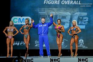 FIGURE OVERALL